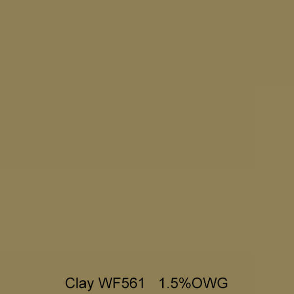 PRO WashFast Acid Dye 561 Clay « PRO Chemical and Dye